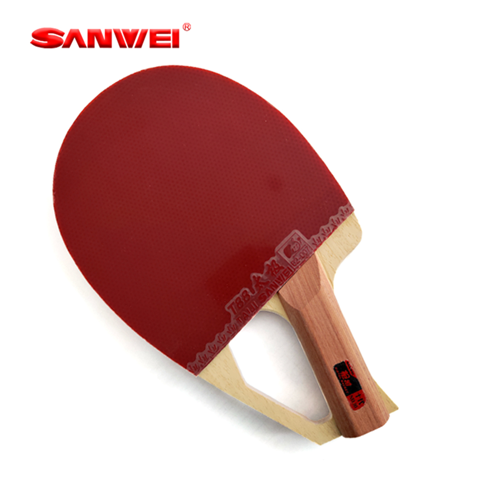 مضرب تنس طاولة أصلي من سانوي ب - مراجعة Table Tennis Paddle وسعره